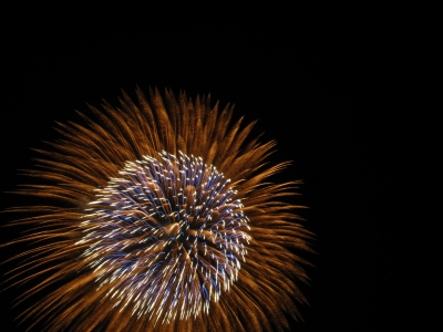 �ֲУ�