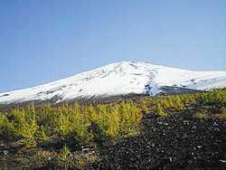 御中道からの富士山